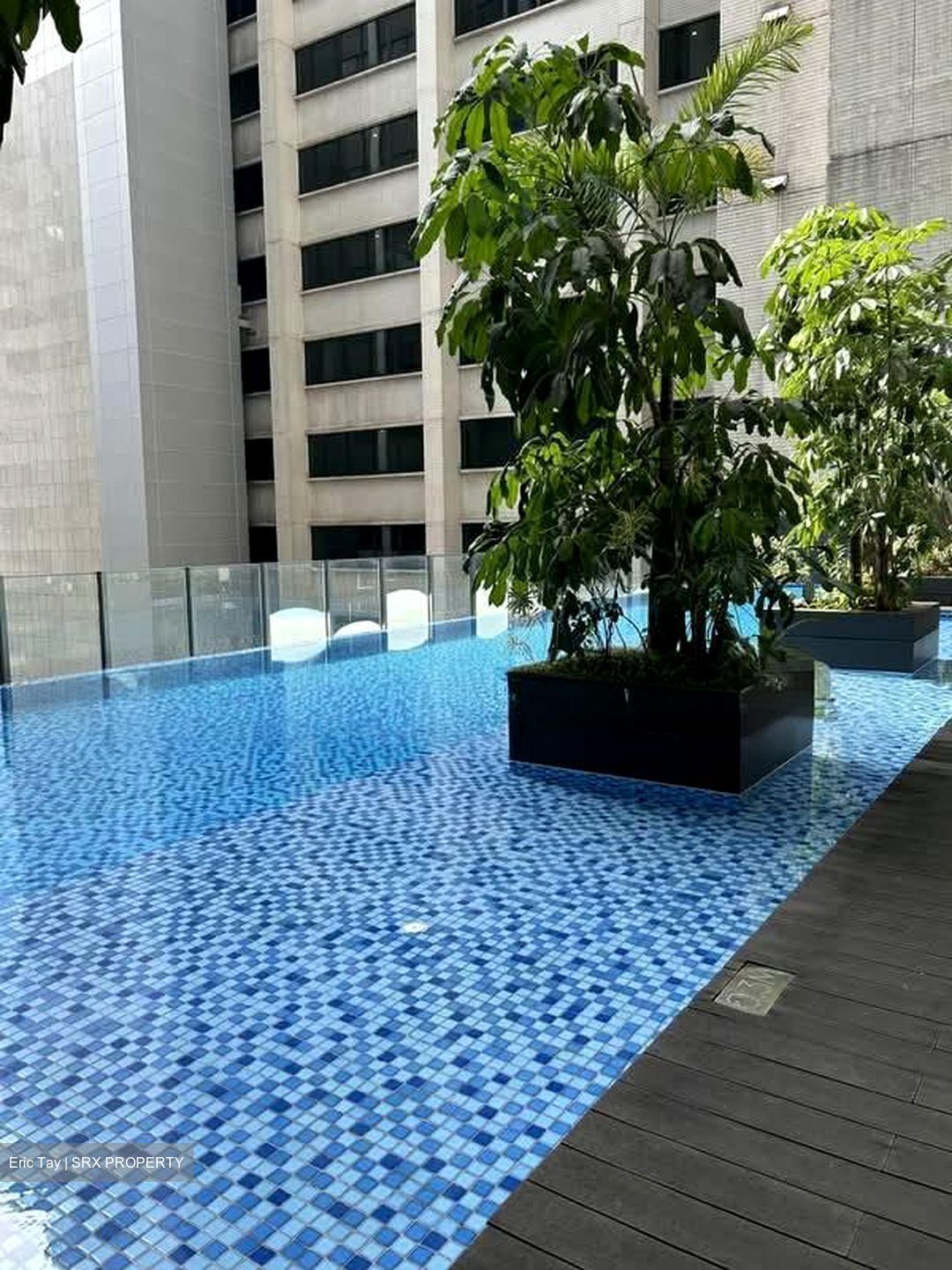 Robinson Suites (D1), Apartment #553207521